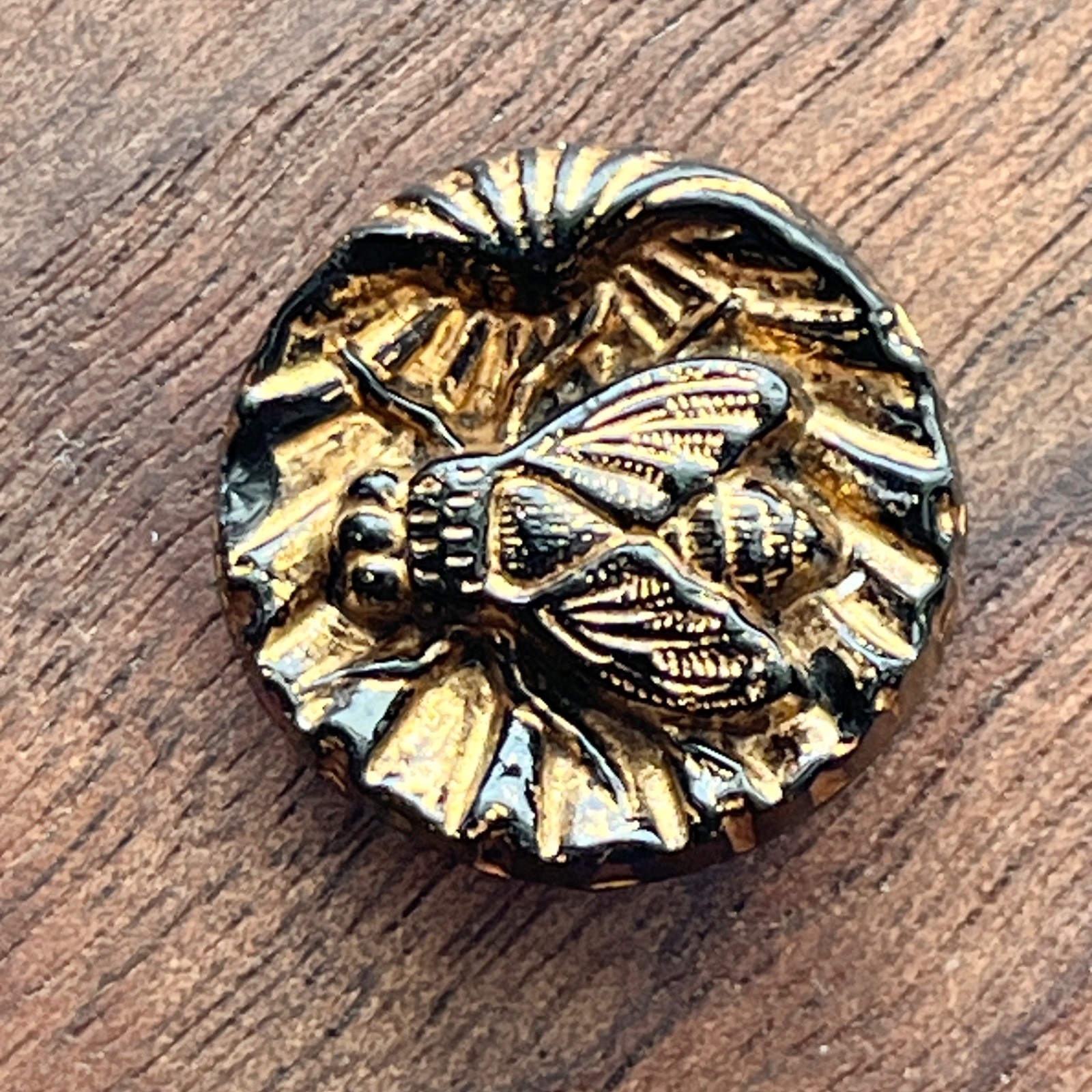 Antique Black Lustre Glass Picture Button 3/4″ SEASHELL & FLY