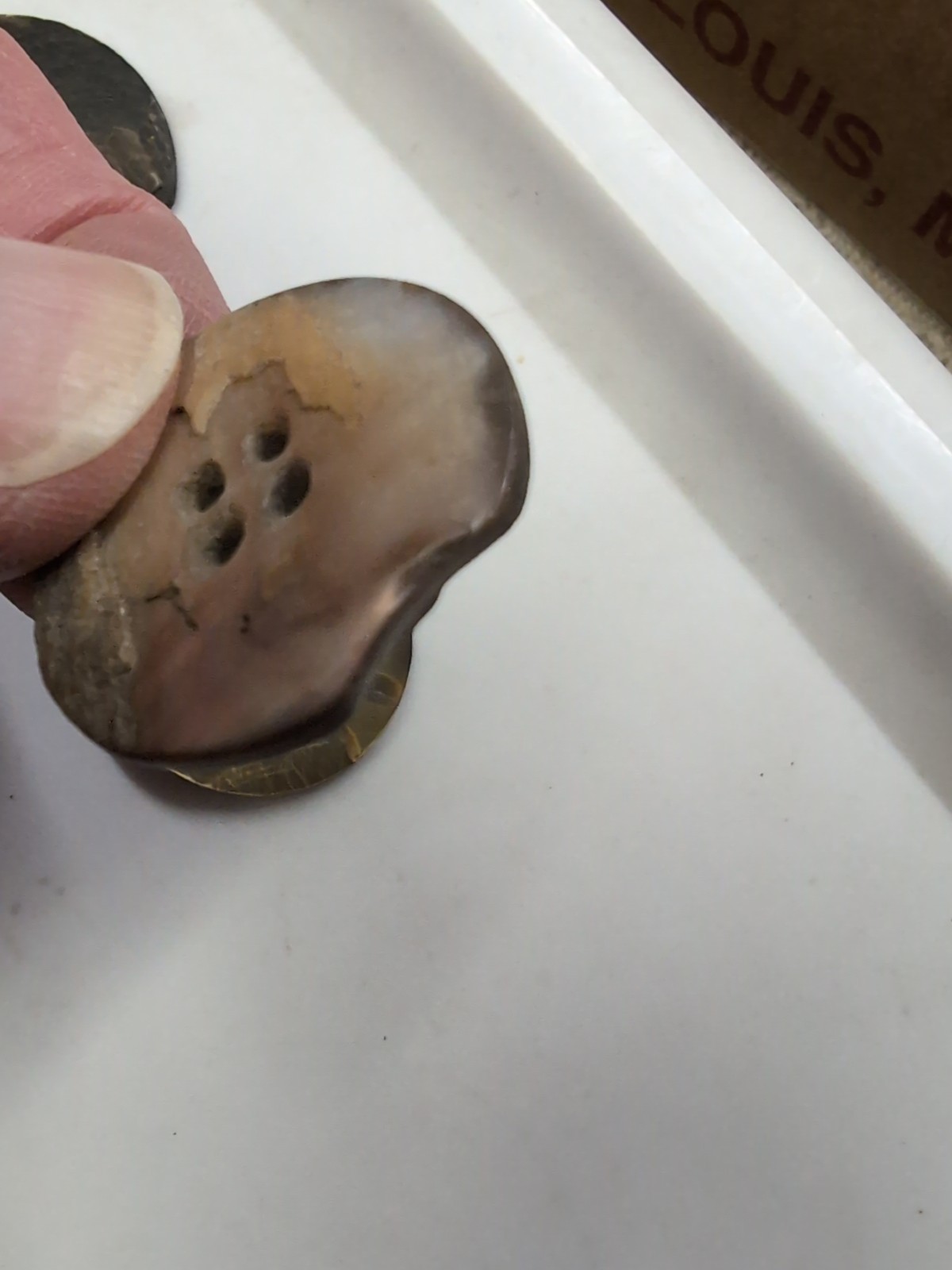 (10) Ablone Shell Buttons