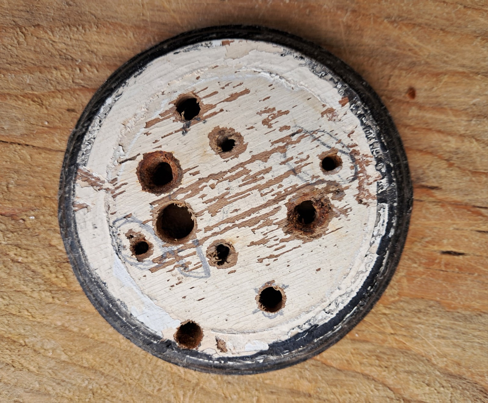 Vintage 1930s Wooden Pattress for Dolly Light Switch Period House Shabby #H
