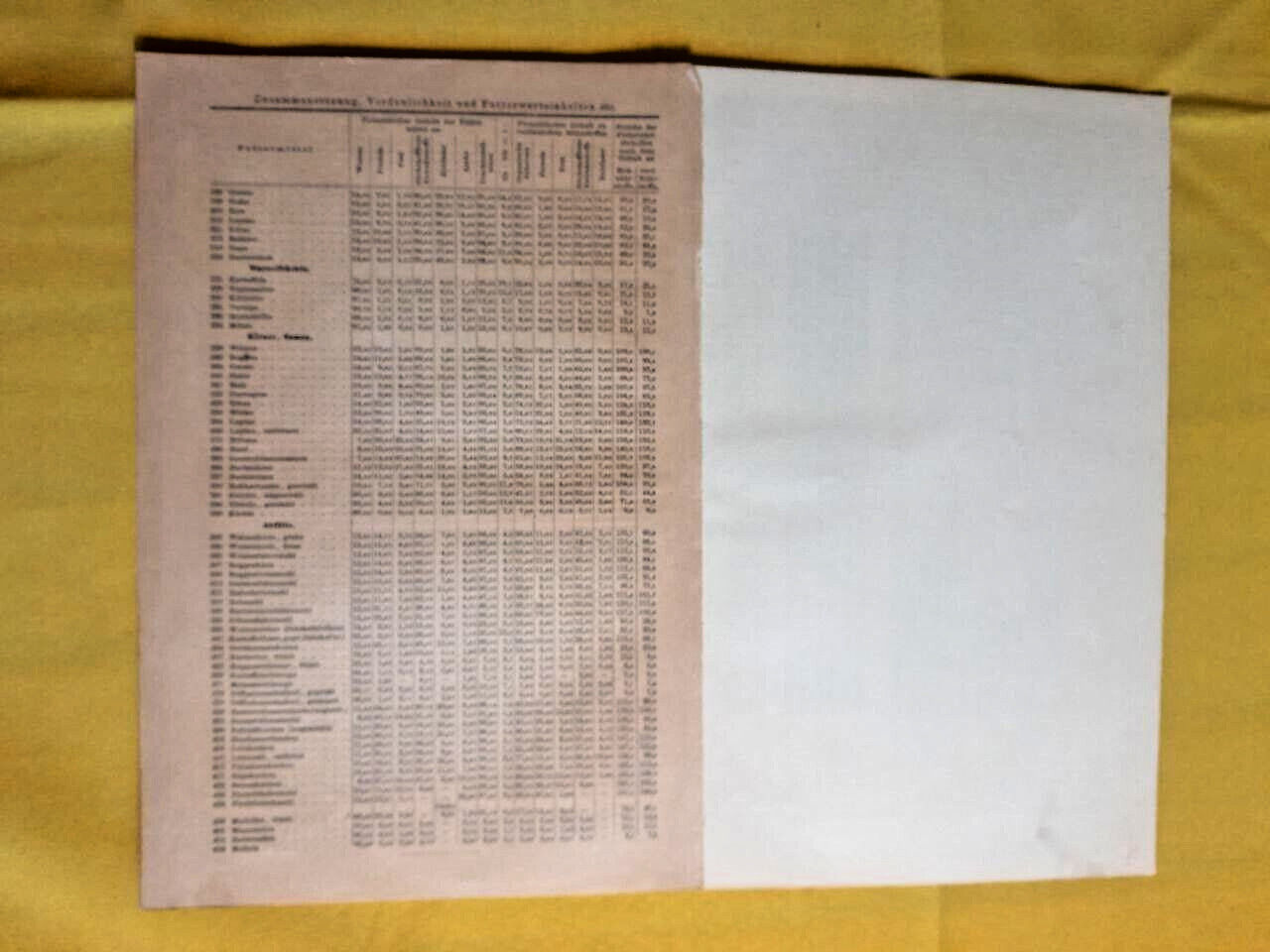 1896 ANIMAL FEED Composition Charts Livestock ORIGINAL 11.5 x 9.5 Color C10-6