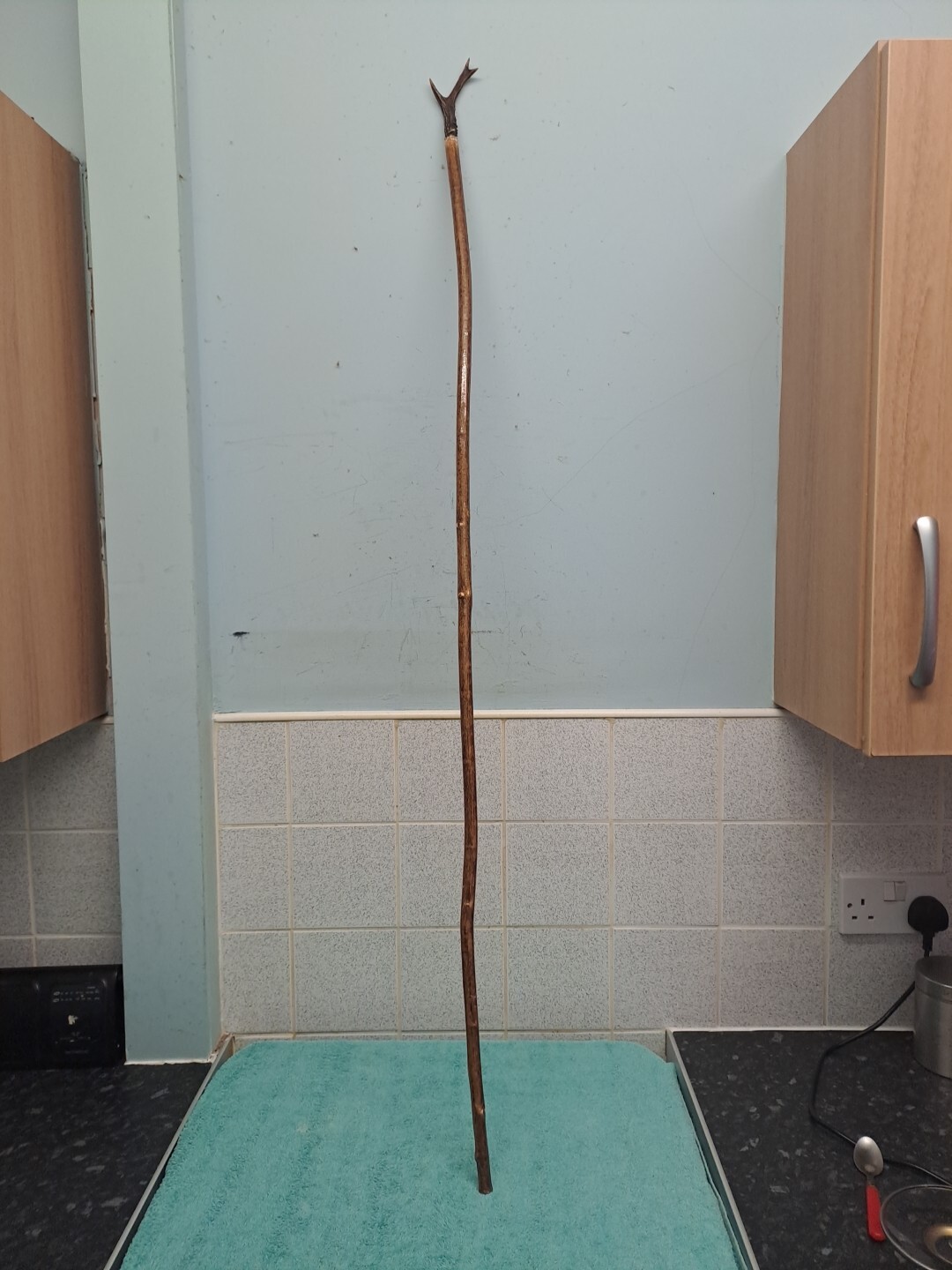 Vintage Handmade Horn Handle Thumb/ Walking Stick / 130cm Long