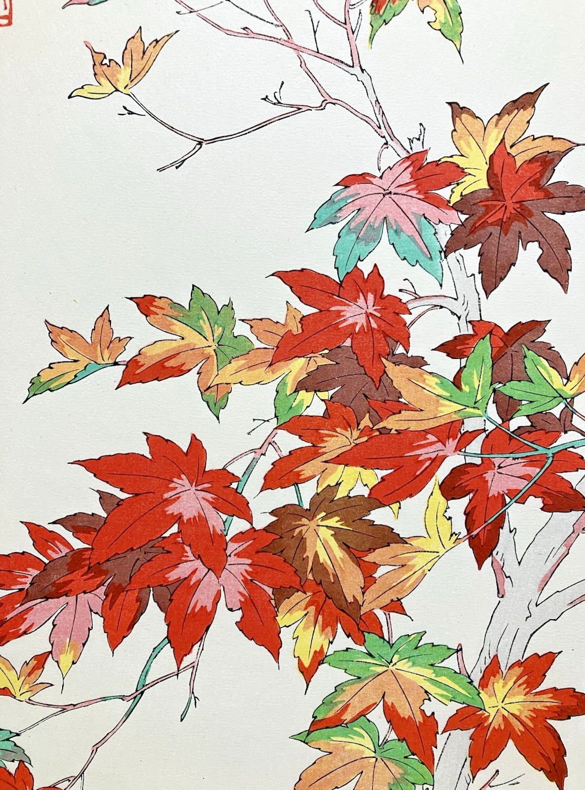 Yuichi Osuga Woodblock Print “Maple” Kyoto Unsodo Flower Prints