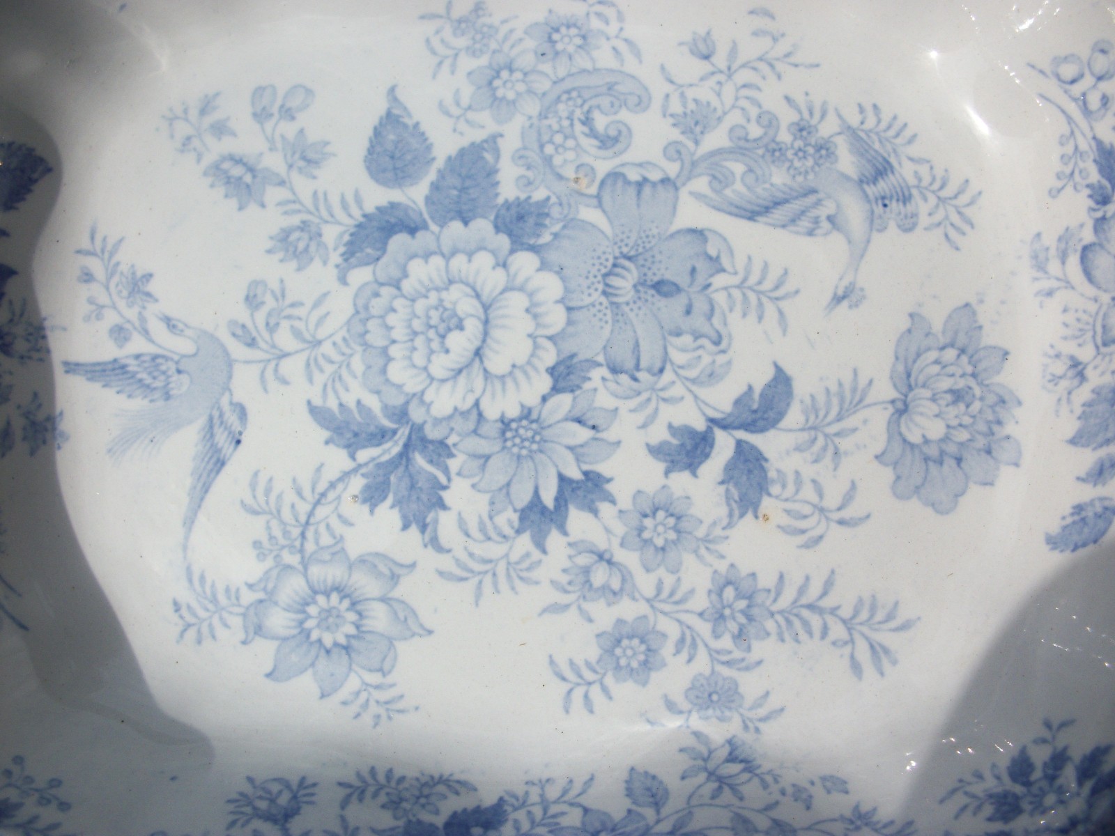 Antique Asiatic Pheasant Vegetable Dish Blue and White Length 29cms