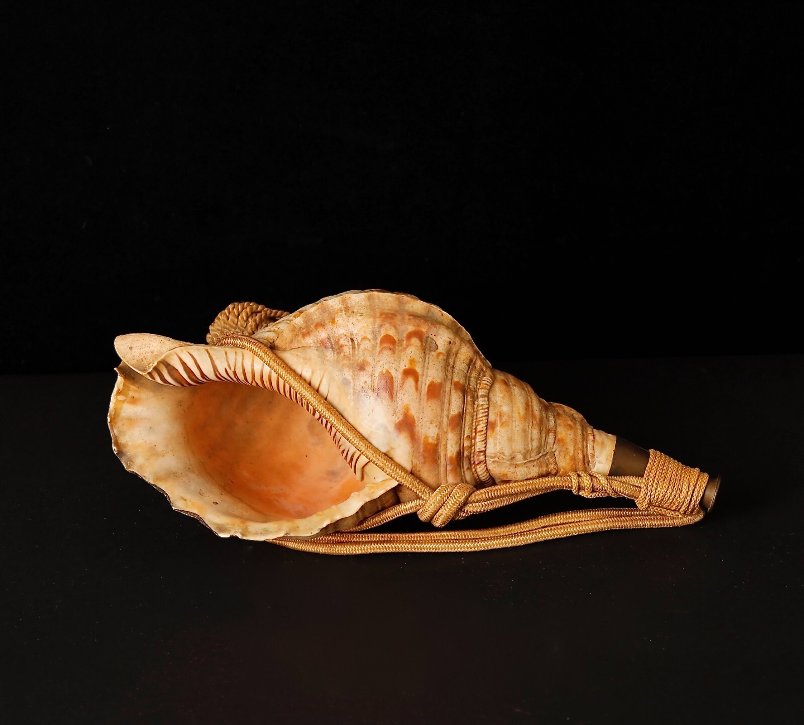 Stunning Horagai Conch shell trumpet 19Century ZF43