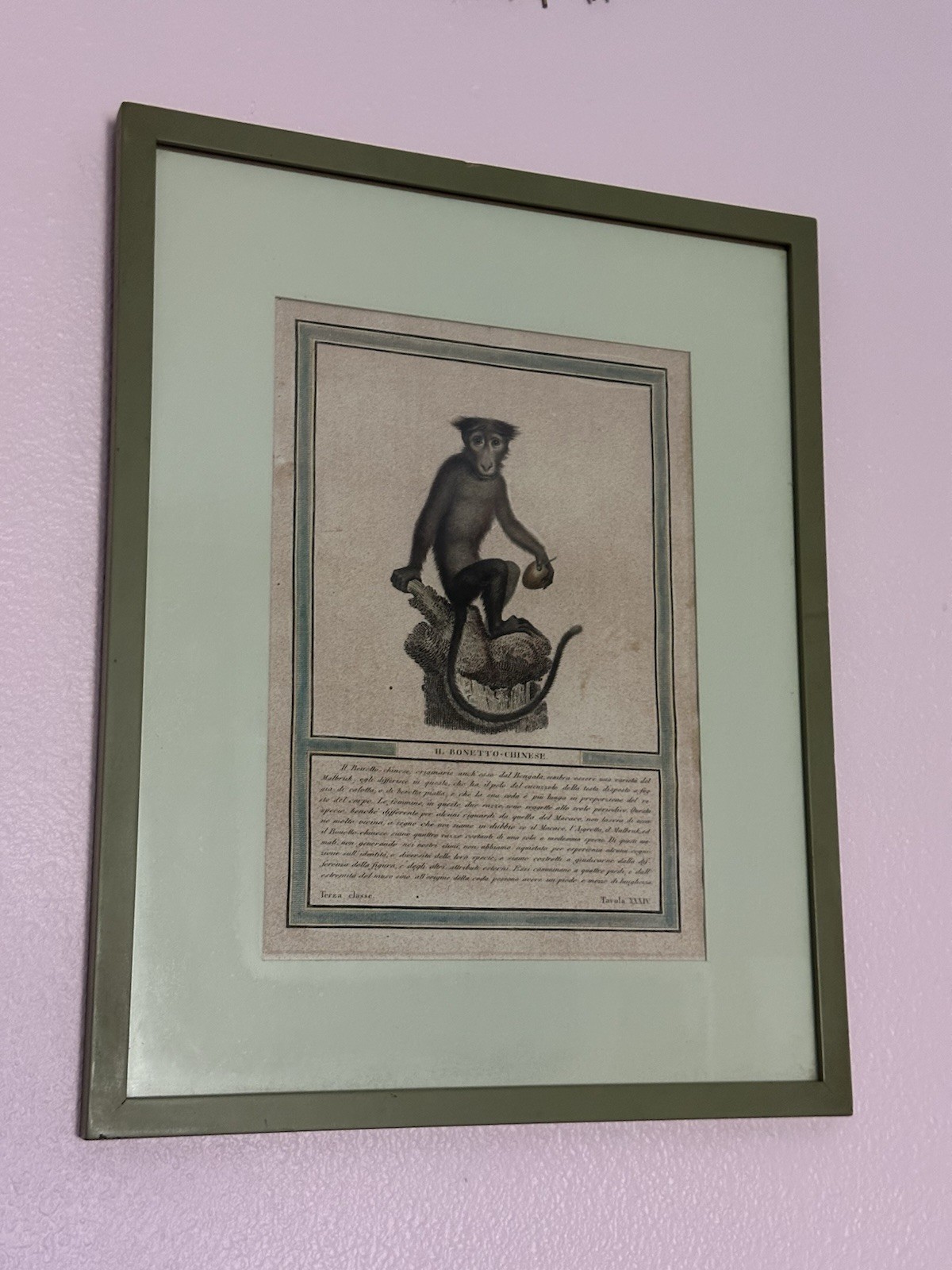 Nicolas Henri Jacob Nicolas Jacob: Stipple Engravings of Monkeys, C1810