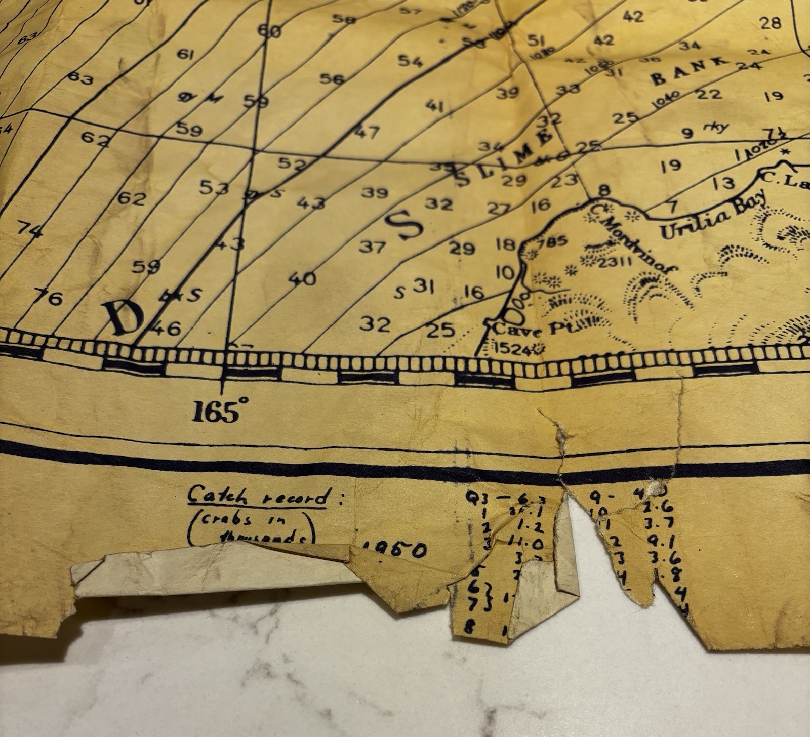 1951 Seattle Nautical Chart • Deep Sea Trawlers Inc • Vintage Fishing Navigation
