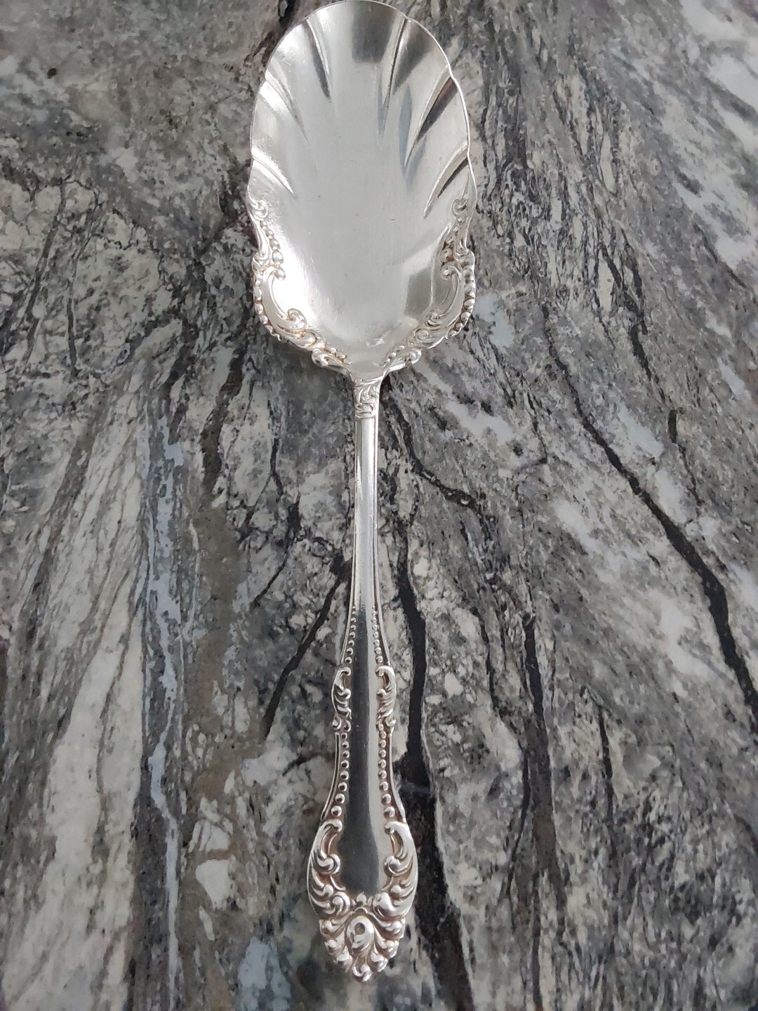 Oneida Silver Carlton Silverplate 1898 Shell Casserole Spoon Wm A Rogers