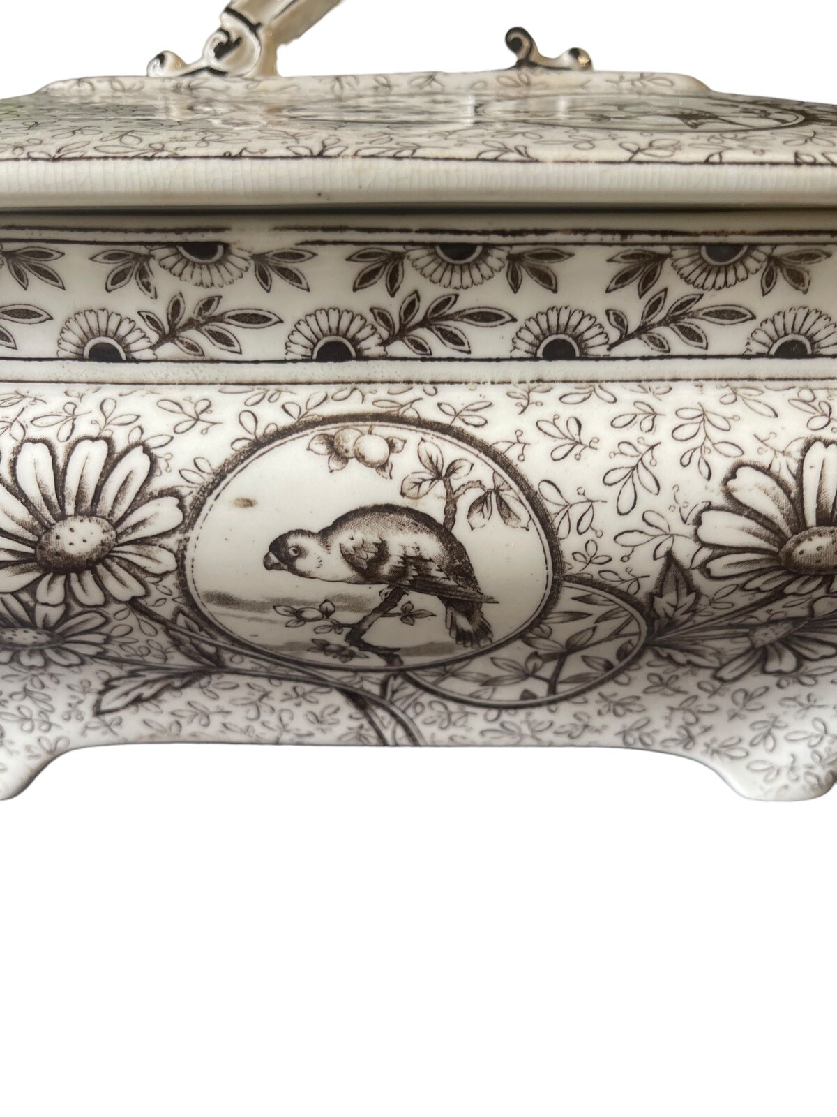 RARE Aesthetic Movement Ridgeway “Devonishire” Huge TransferWare Tureen! Birds!