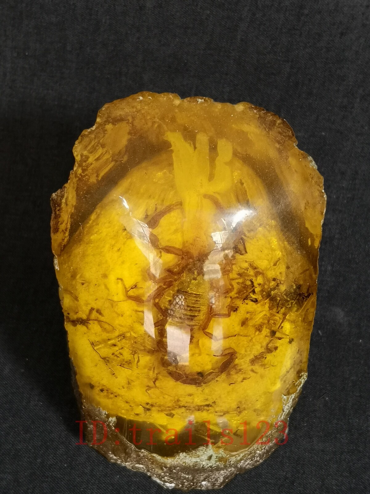 Collection China Synthetic Amber Scorpion Specimen art Unique Old Decoration
