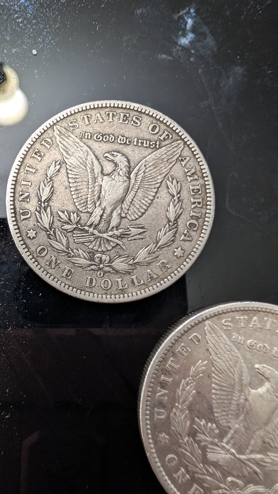 Morgan Silver Dollar
