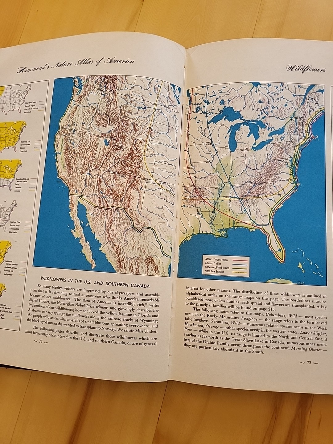 Vintage 1952 Oversized Biology Reference Book: Hammond’s Nature Atlas Of America