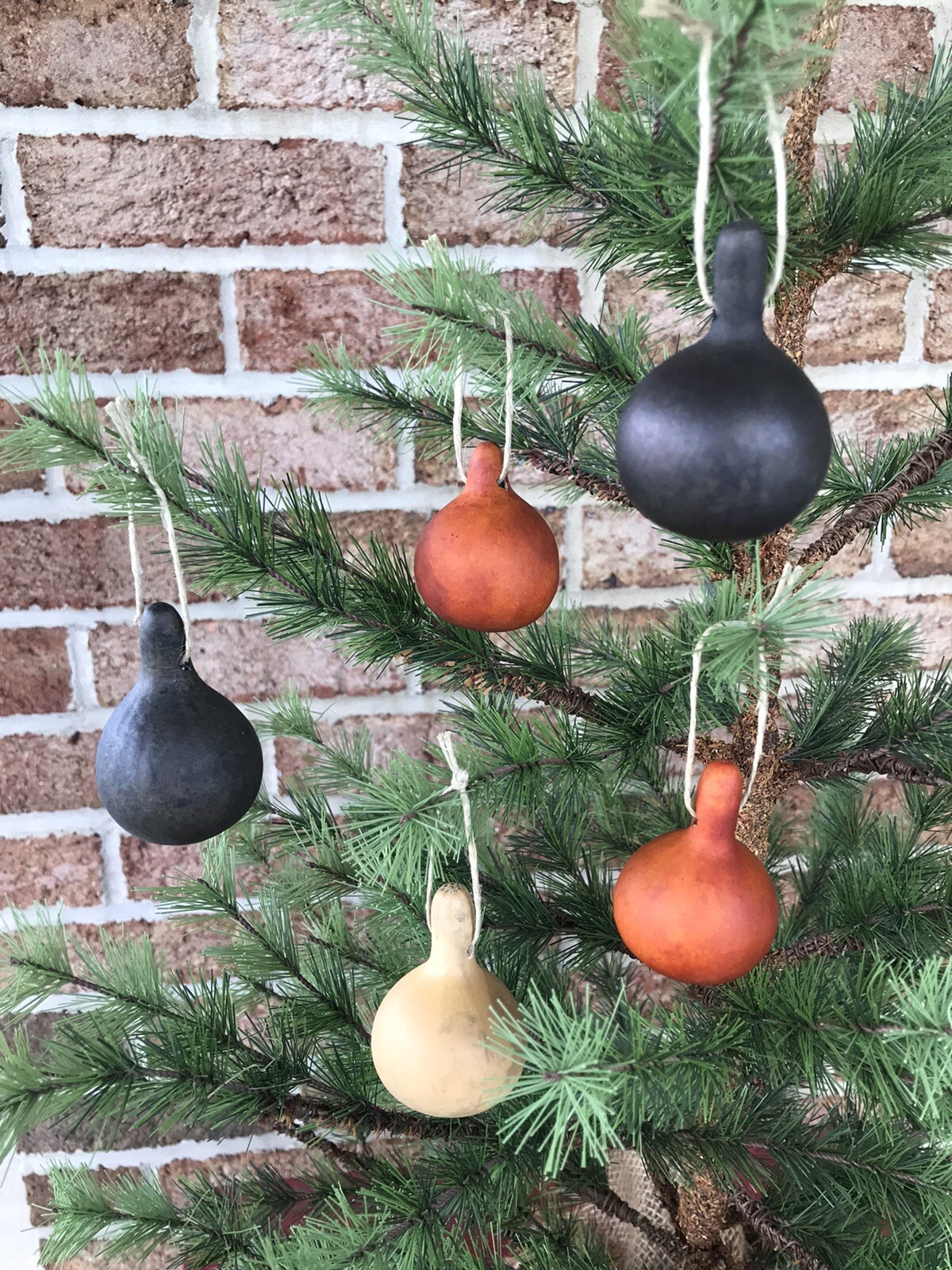 12 Tennessee Spinner Gourd ornaments Halloween- Stained black, Orange, Natural