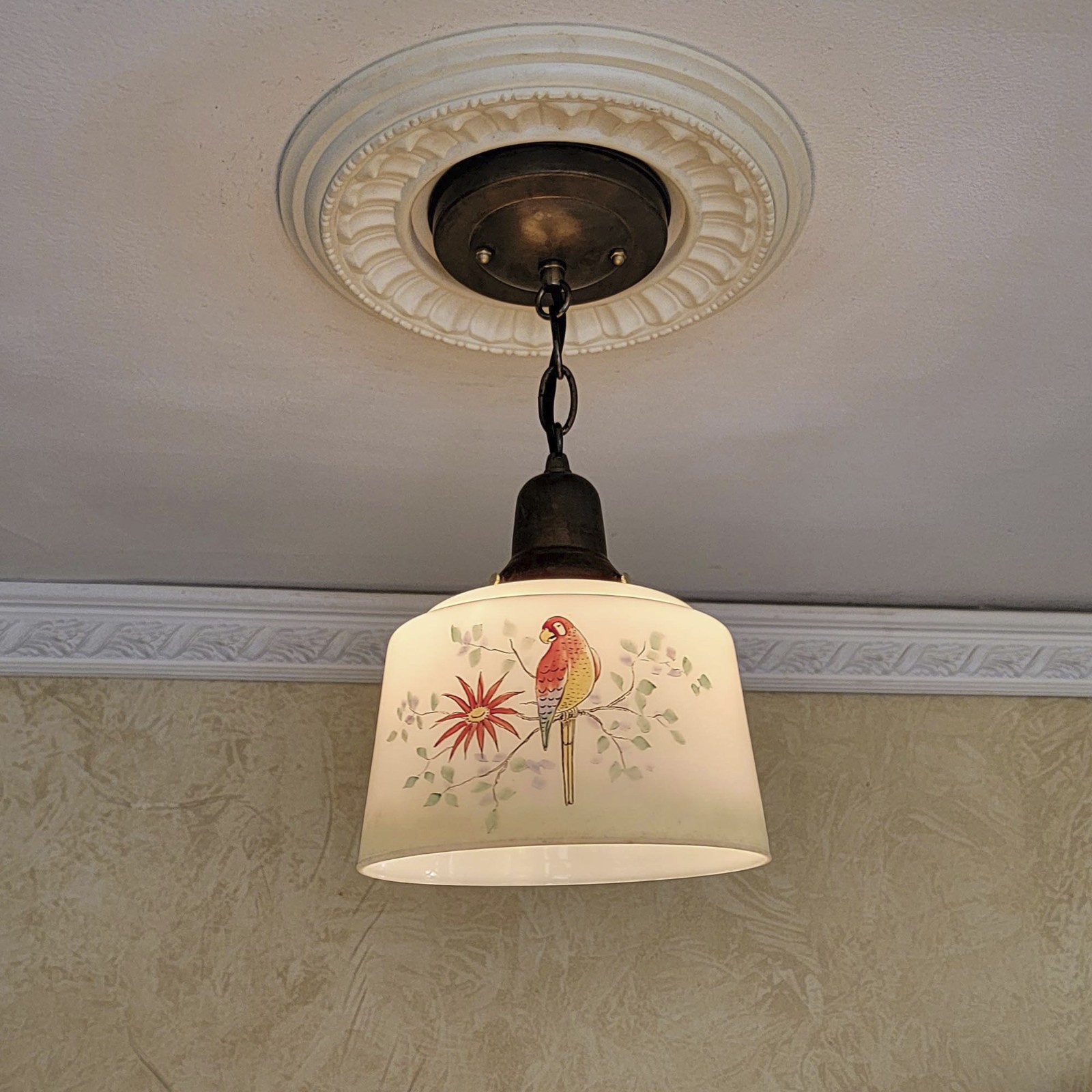 119b Antique 1920s 40’s Ceiling Light glass shade lamp fixture bird pendant