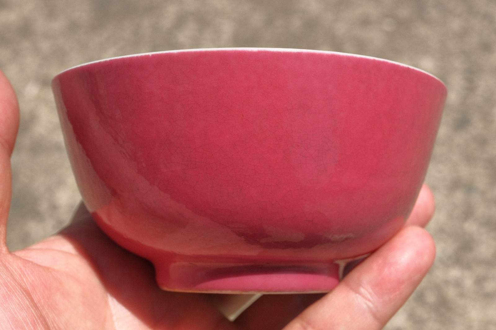 C0015. Chinese Purple Ground Bowl with Iron Red Gilt Three Abundances