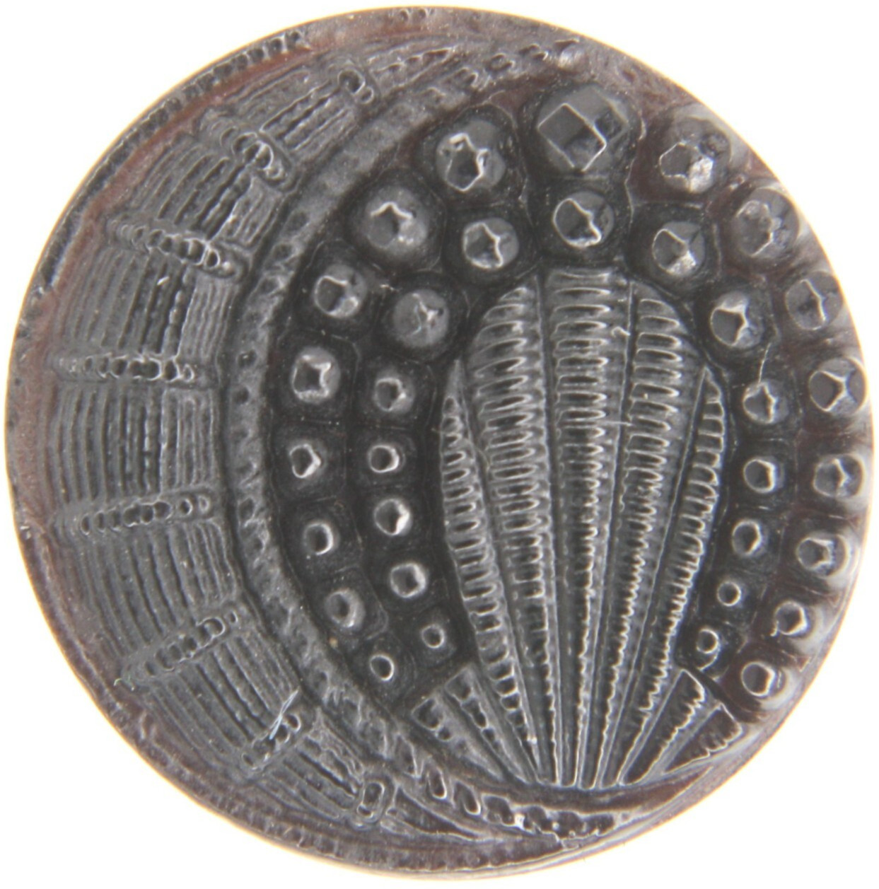 C1890 Antique Victorian Black Glass Button Crescent Moon & Sun Sunrise Sunburst