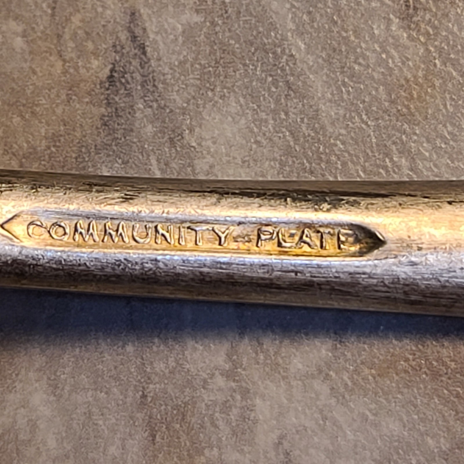 Table Serving Spoon Oneida Community Plate Bird Of Paradise Silverplate 1923 7¼”