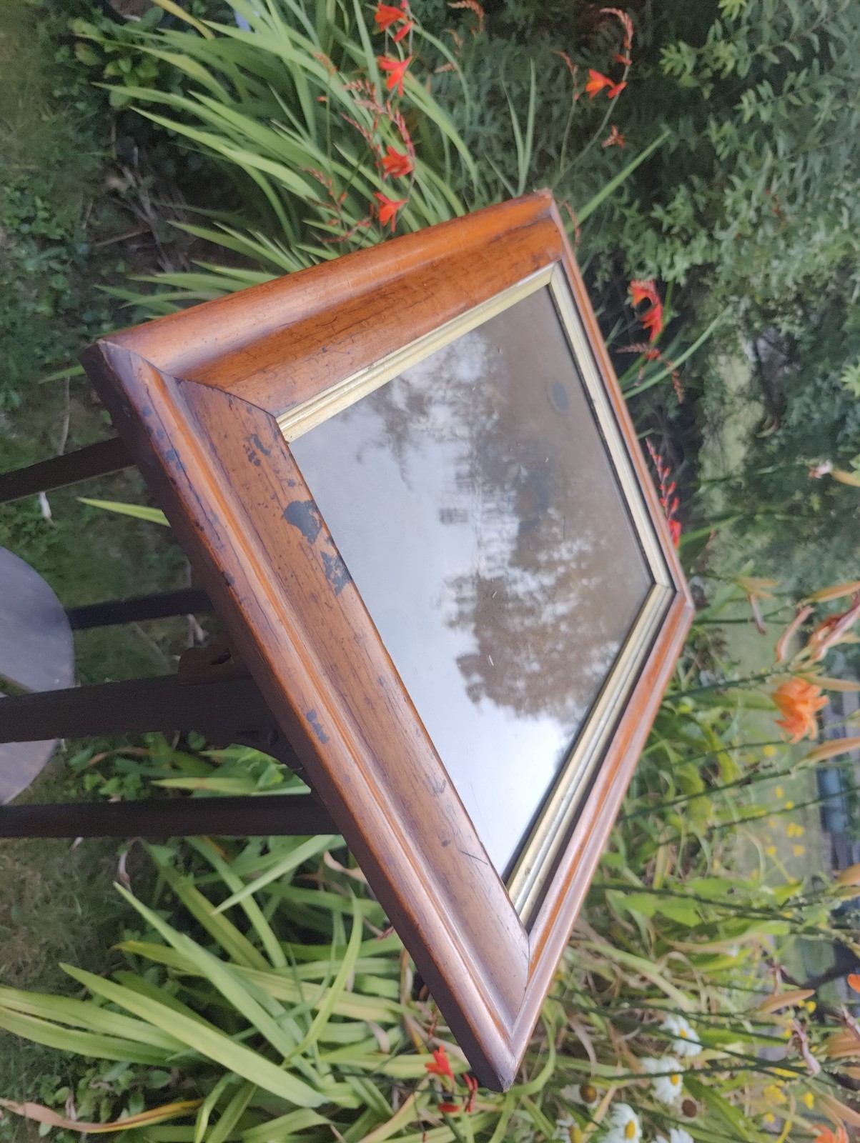Bird’s Eye Maple Frame C.1870 44.5 X 37cm, View 24.5 X 32cm, Gilt Slip