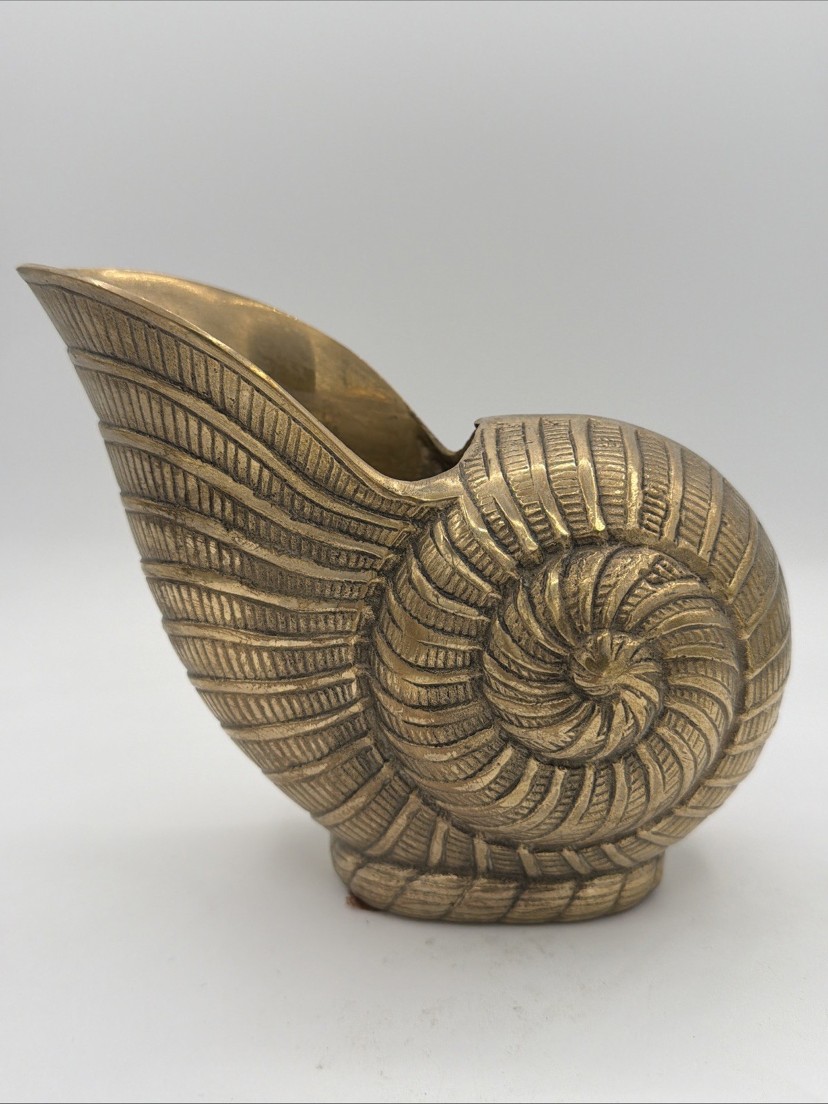 Vintage Solid Brass Nautilus Sea Shell Vase/Decor, 6.25” Tall