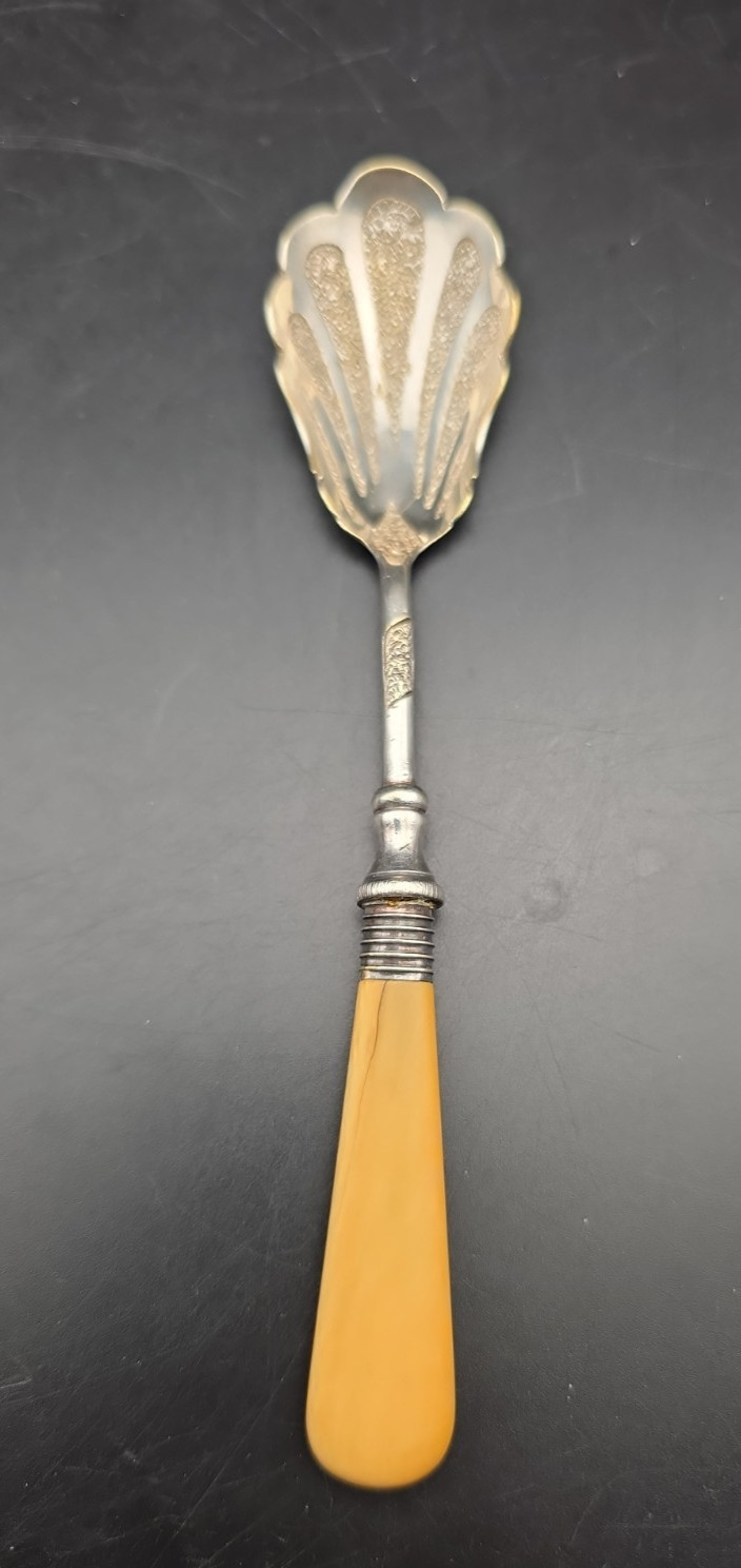 Rare Etched Silver Plate Sugar Spoon With Carved Honey Color Horn Handle
