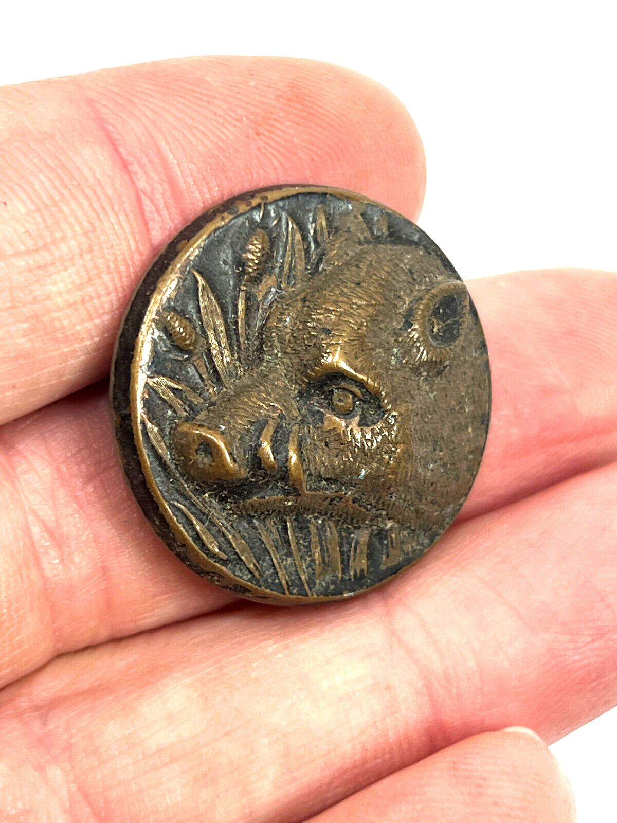 Antique Wild Pig Boar Button pin shirt coat belt pants