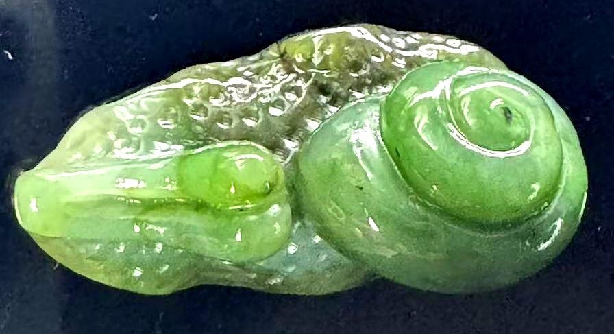 Jade Snail