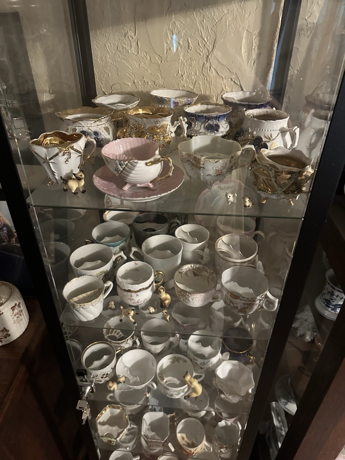 Incredible Antique Mustache Cup Collection With Display Cases