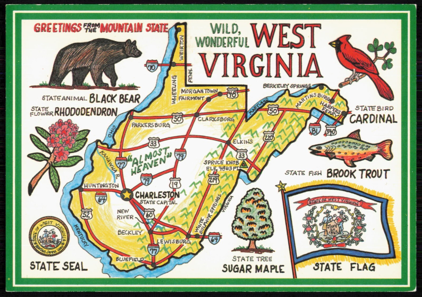 Wild Wonderful West Virginia, Black Bear, Brook Trout, Cardinal Postcard