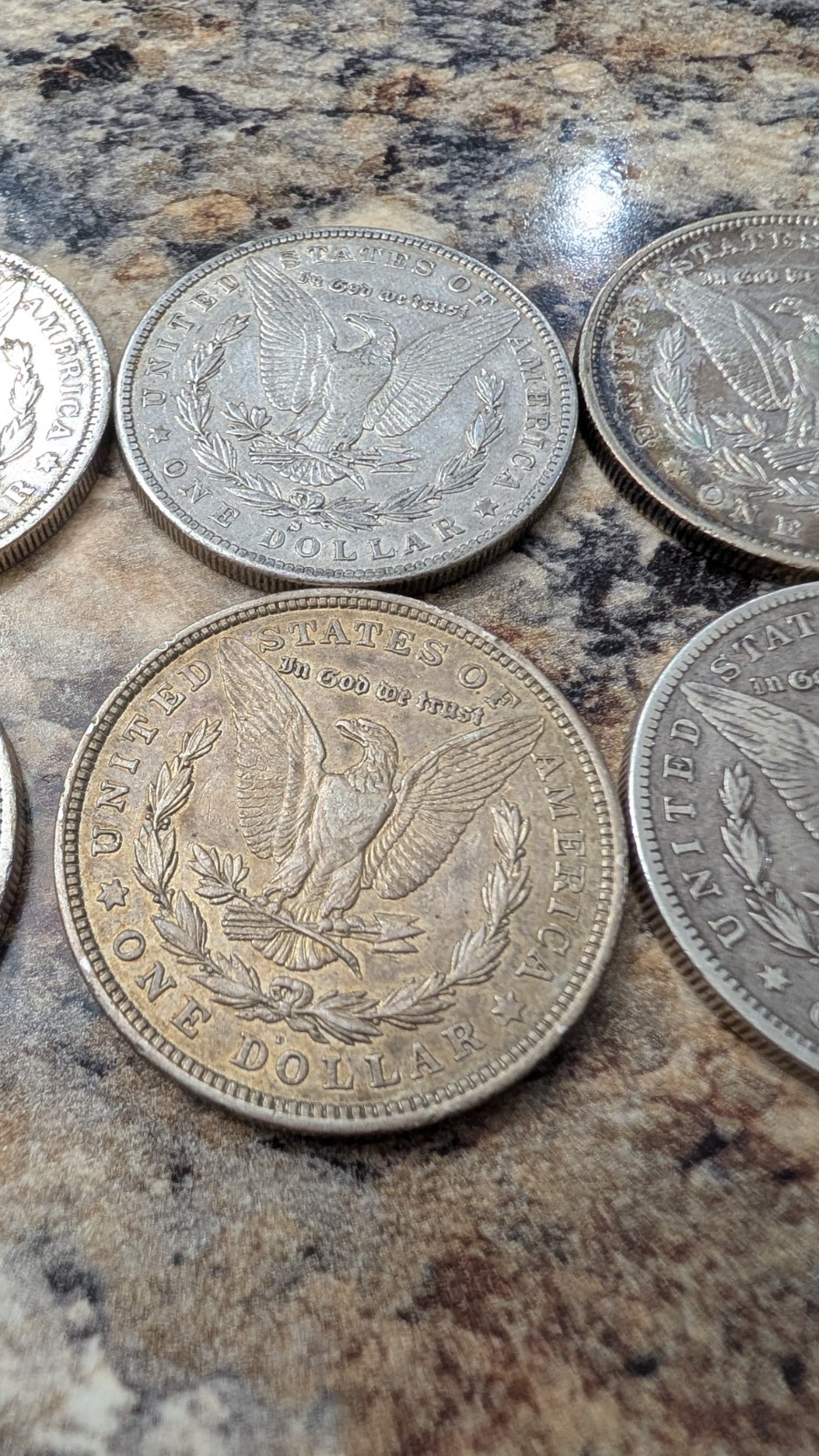 6 Morgan Dollars