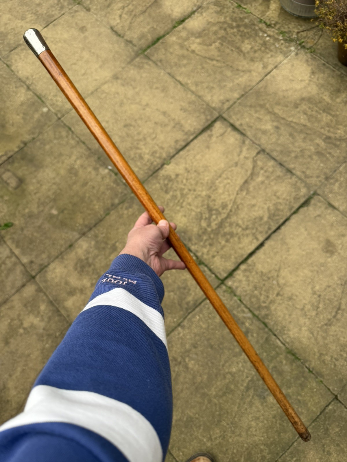 Antique Hallmarked Silver Topped Walking Stick Malacca Shaft London 1909