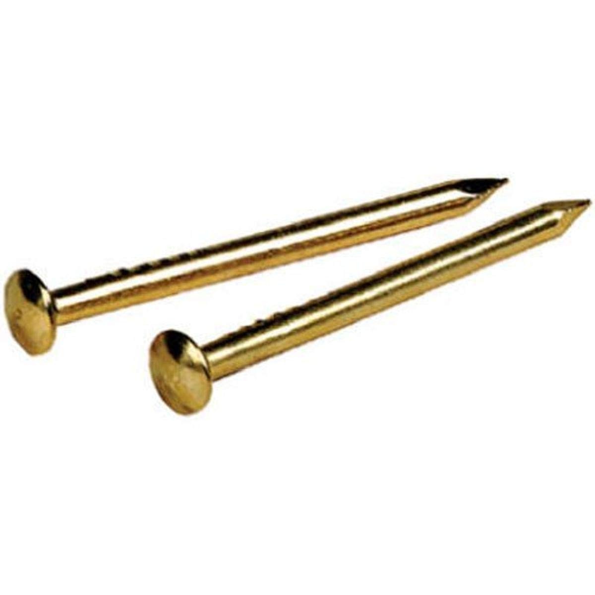The Group 122627 Solid Brass Escutcheon Pins 5/8 x 18Inch Fastener