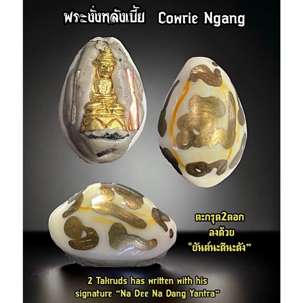 Biakae Cowrie Ngang Thai Amulet Protection & Wealth Charm & Luck Booster