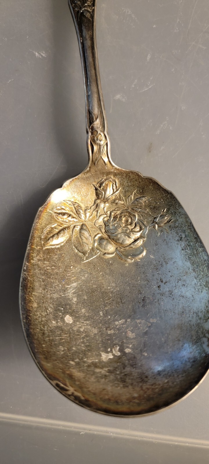 Vintage Oneida Community Reliance Plate Wildwood Silver Serving Spoon c.1908