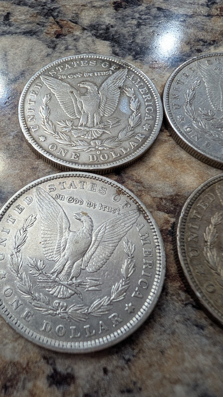 6 Morgan Dollars