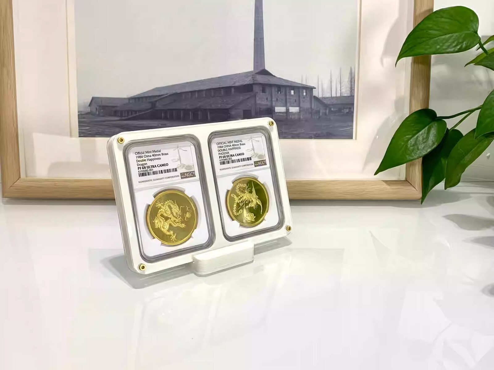 2 Grids White Color Display Frame Case Box with Stand For NGC Coin Holder