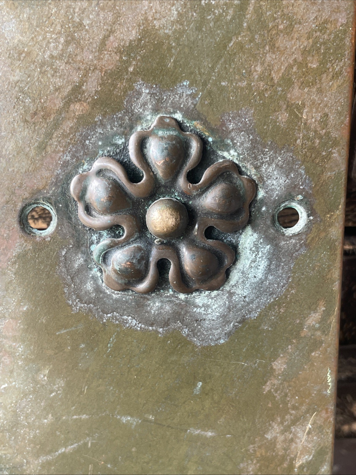 Victorian Brass Finger Plate Push Door Handle Antique Old Vintage