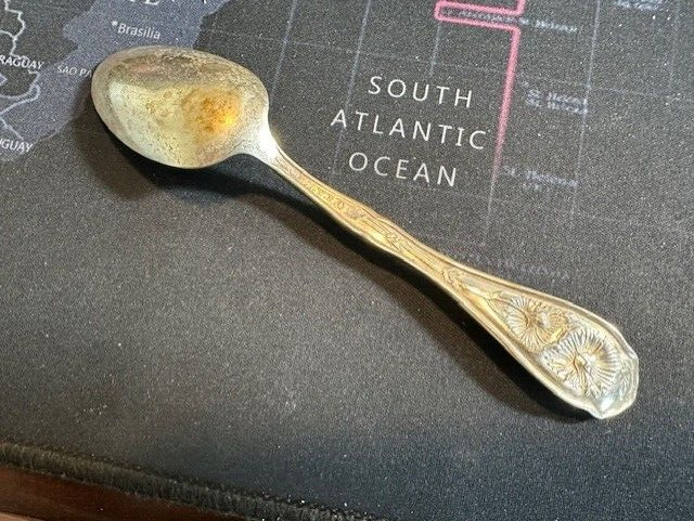 William Rogers (W.R.) Carnation Pattern – Pat Jan 14, 1908 – Teaspoon 6″ TX79