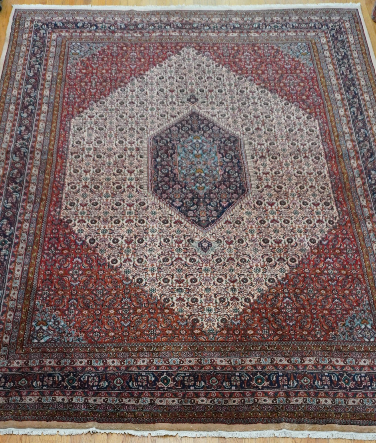 Elegant Bijarr 9′ x 12′ Hand-Knotted Wool Ivory India Oriental Rug Excellent