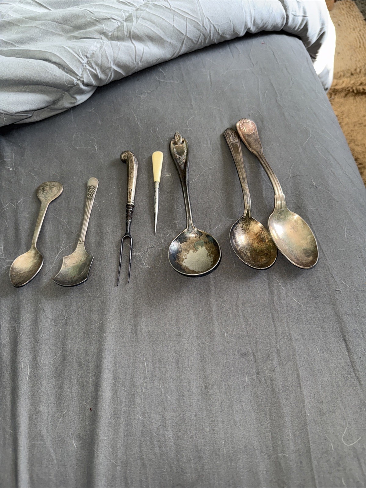 I Think Most Of Its Plate, But I’m Not Sure ?!