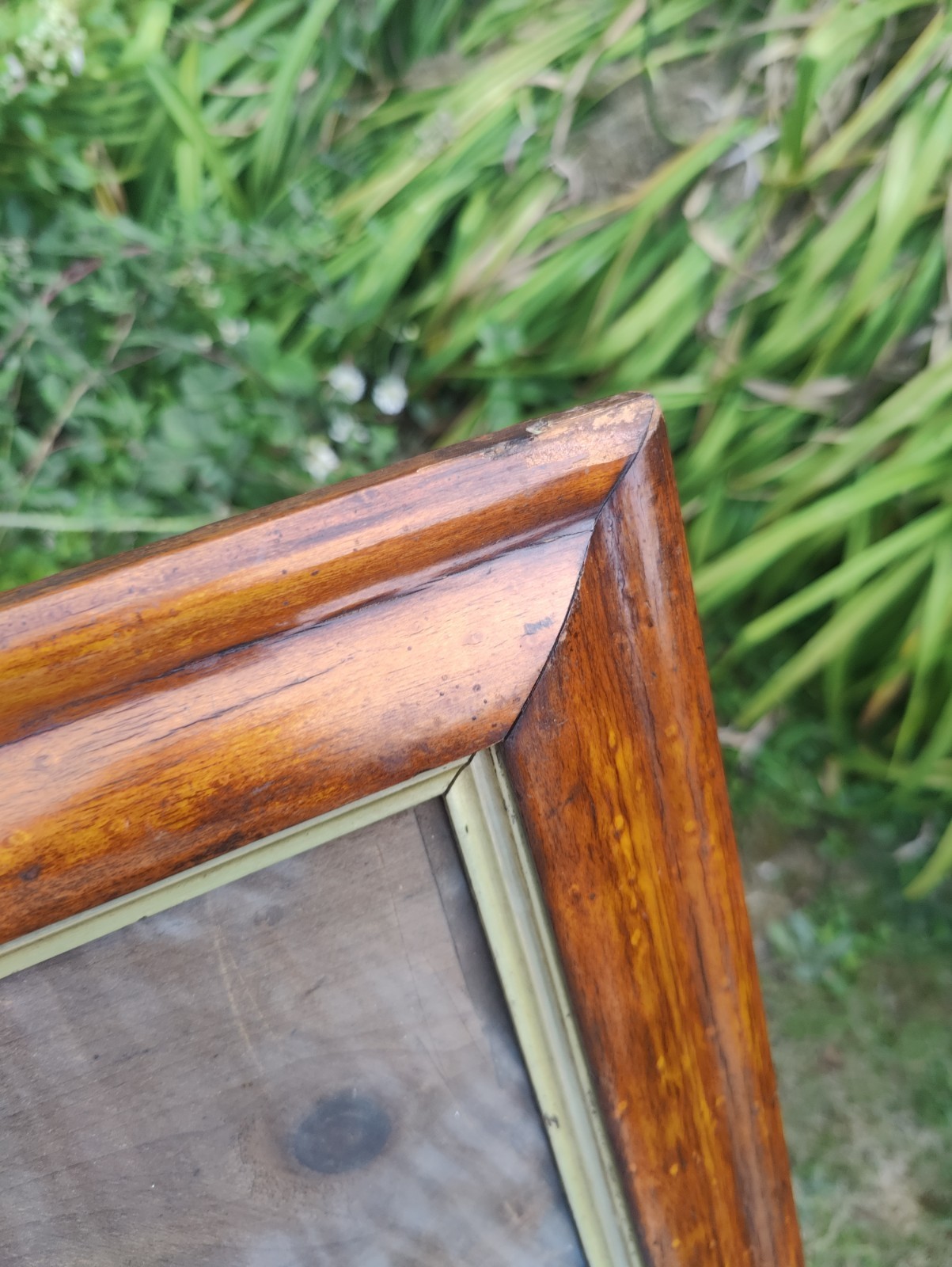 Bird’s Eye Maple Frame C.1870 44.5 X 37cm, View 24.5 X 32cm, Gilt Slip