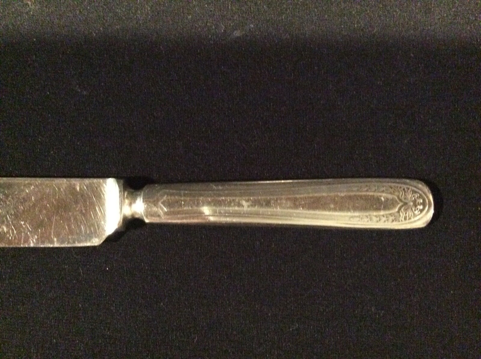 Bridal Wreath Oneida 1915 Par Plate Knives – 6