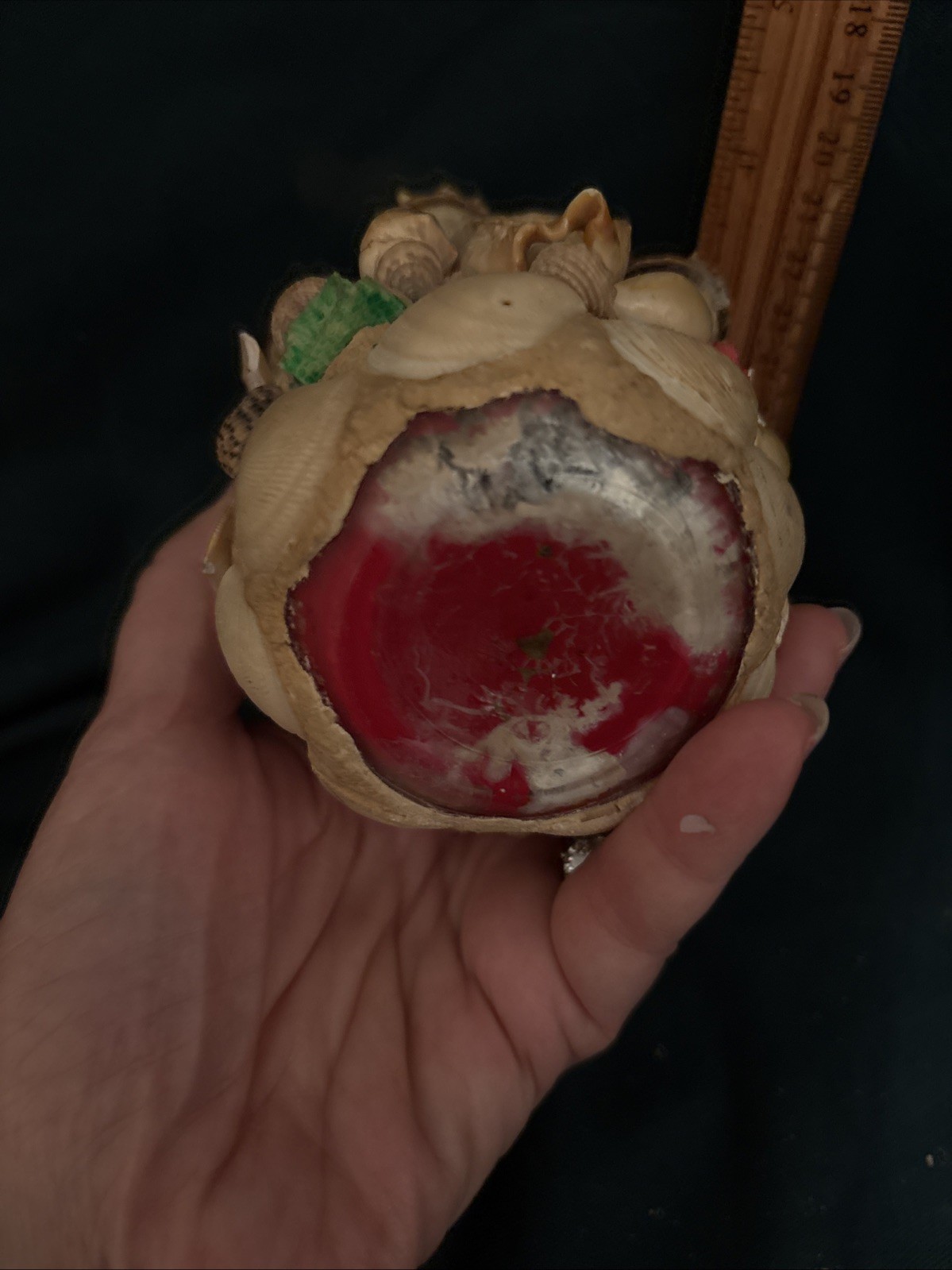 VTG Antique Seashell Shell Folk Art Sailors Valentine Vase 4”