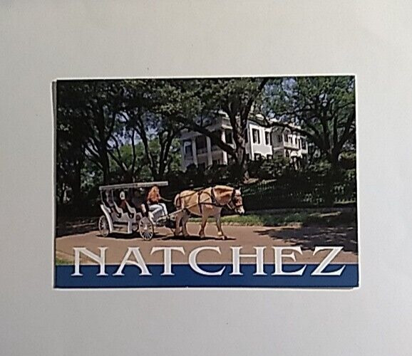 Postcard Natchez Mississippi Sightseeing unposted