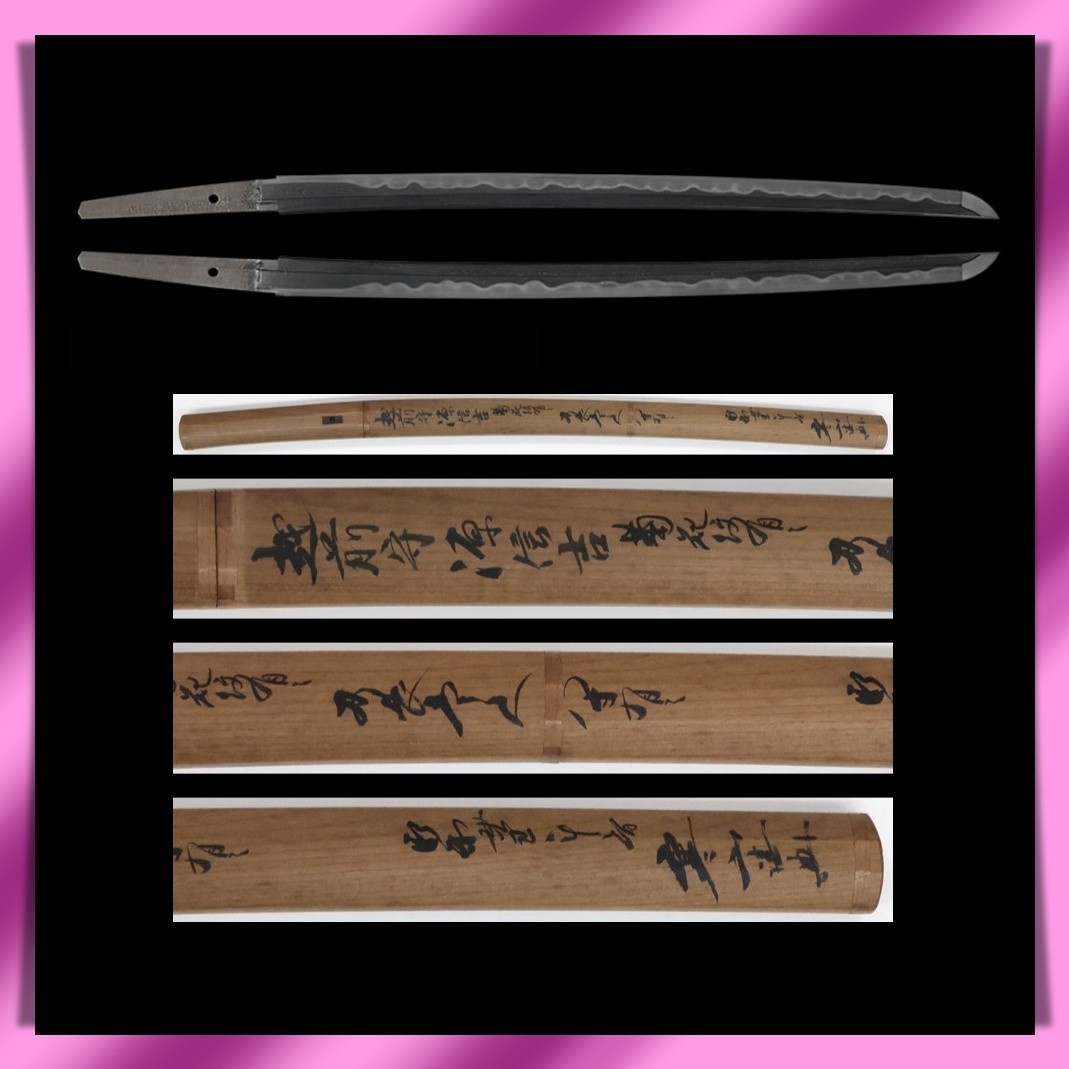 Wakizashi 脇差 “ Nobuyoshi ” 菊紋越前守源信吉 Japanese Real Sword 54.2 cm Shirasaya Edo