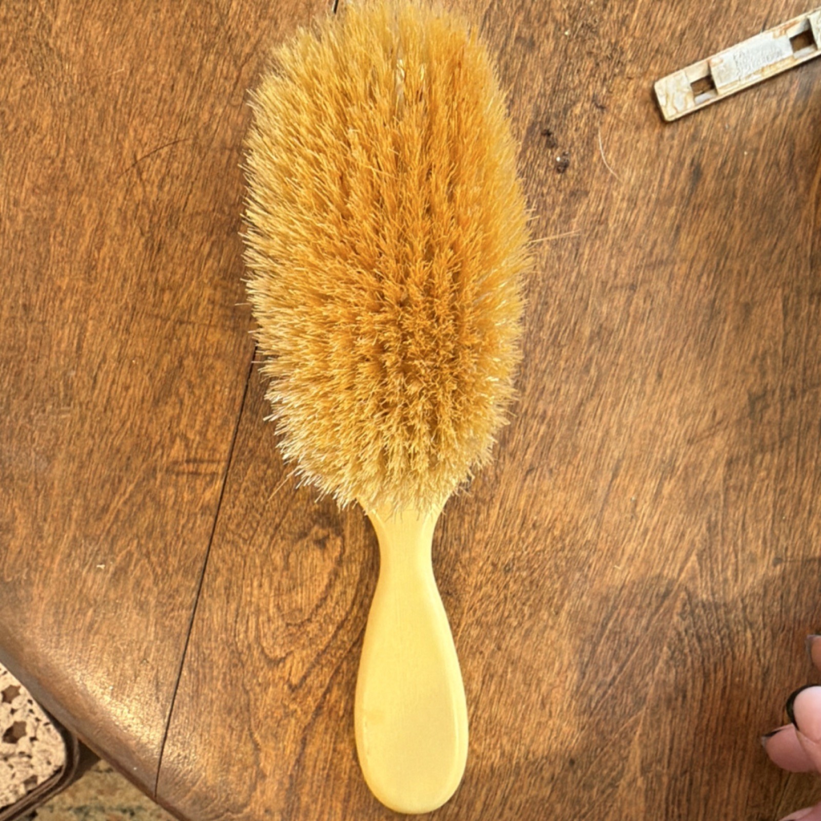 Antique 1915Patent Gentleman’sGrooming Set Celluloid Brush Nail File Button Hook