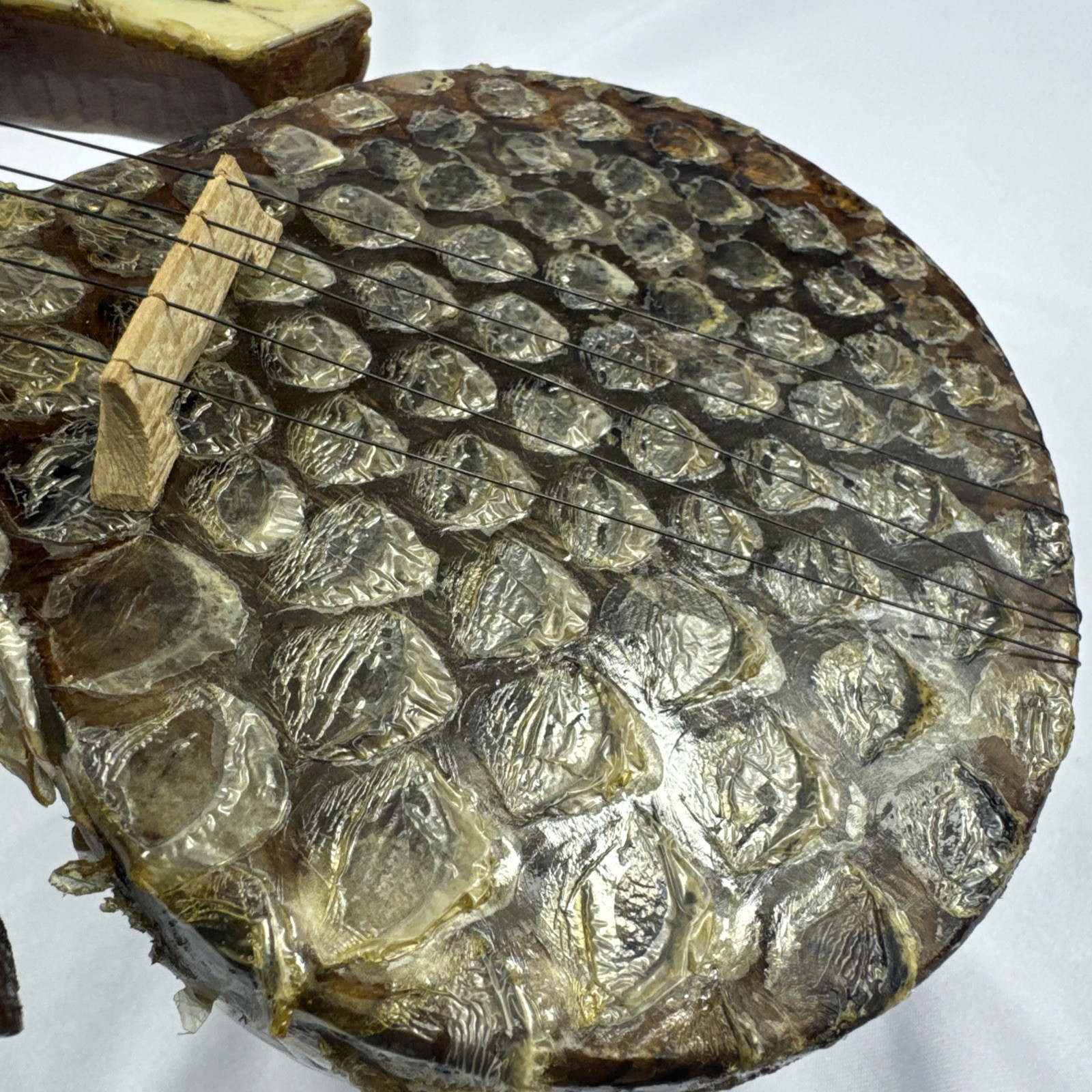 Vintage Asian Rawap Musical String Instrument Snakeskin Design 23 Inches Long
