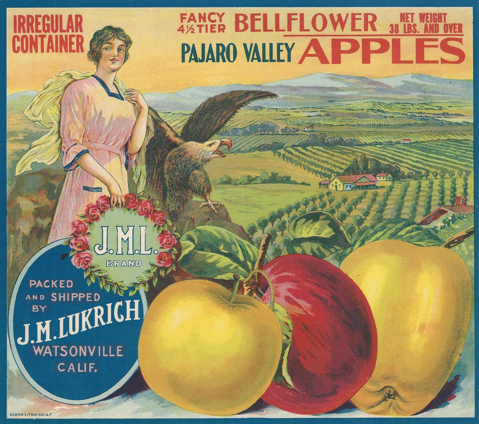 RARE OLD 1910 STONE LITHO “J.M.L.BRAND” APPLE LABEL ART WATSONVILLE CALIFORNIA