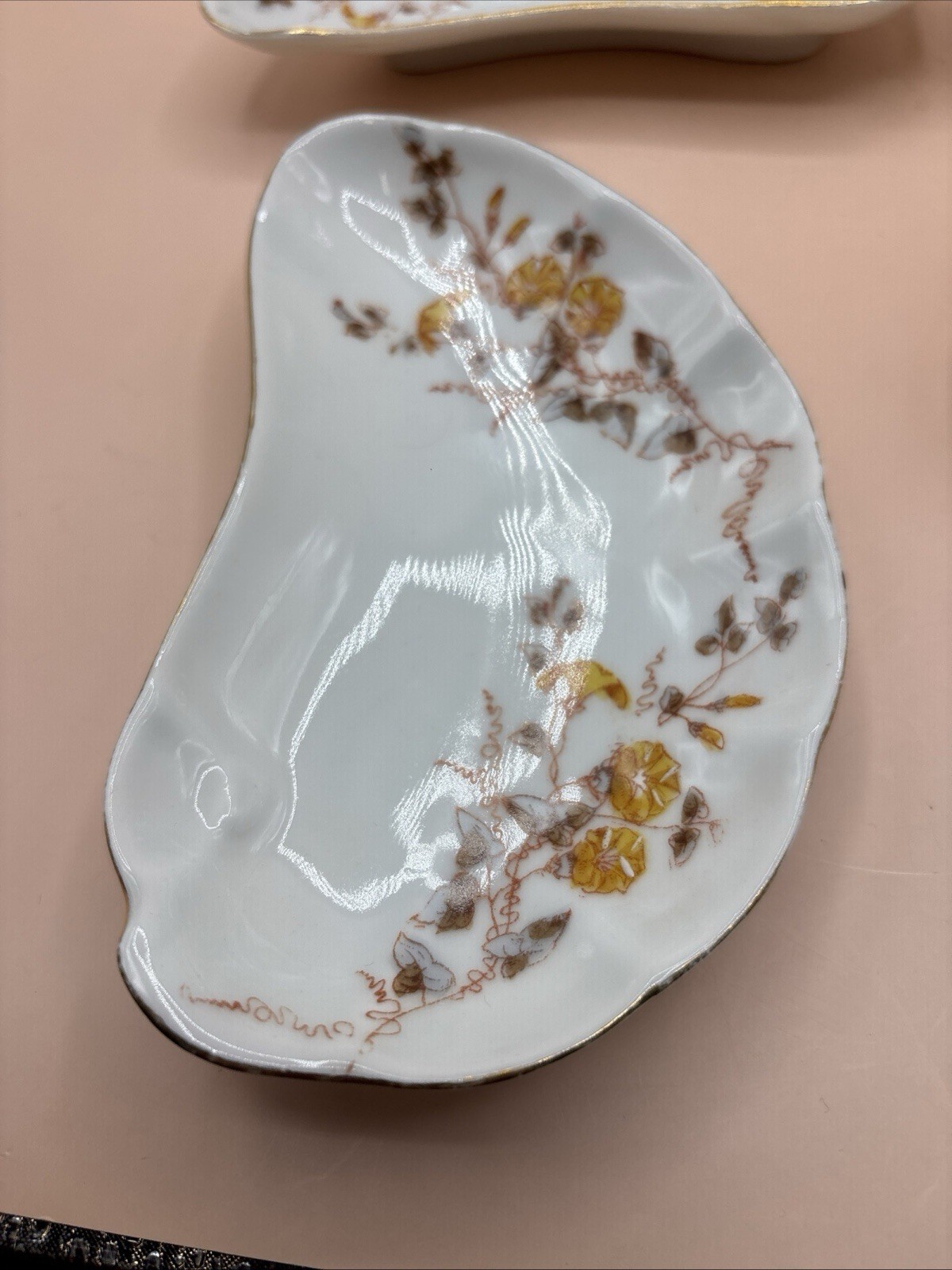 5 Marx & Gutherz Carlsbad Porcelain Bone Plates Antique (1884-1889).