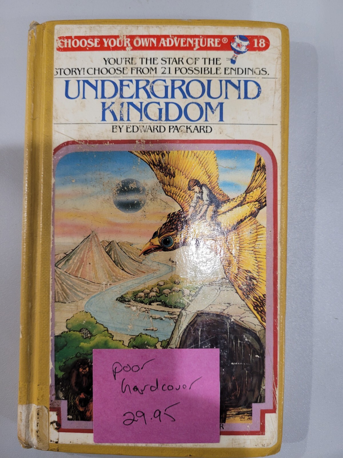 Choose Your Own Adventure Underground Kingdom Hardcover Book
