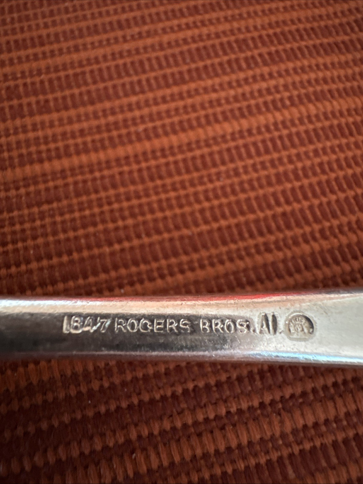 ASSYRIAN HEAD Solid Shell Berry/Casserole Serving Spoon 1847 Rogers Bros 8 1/2”