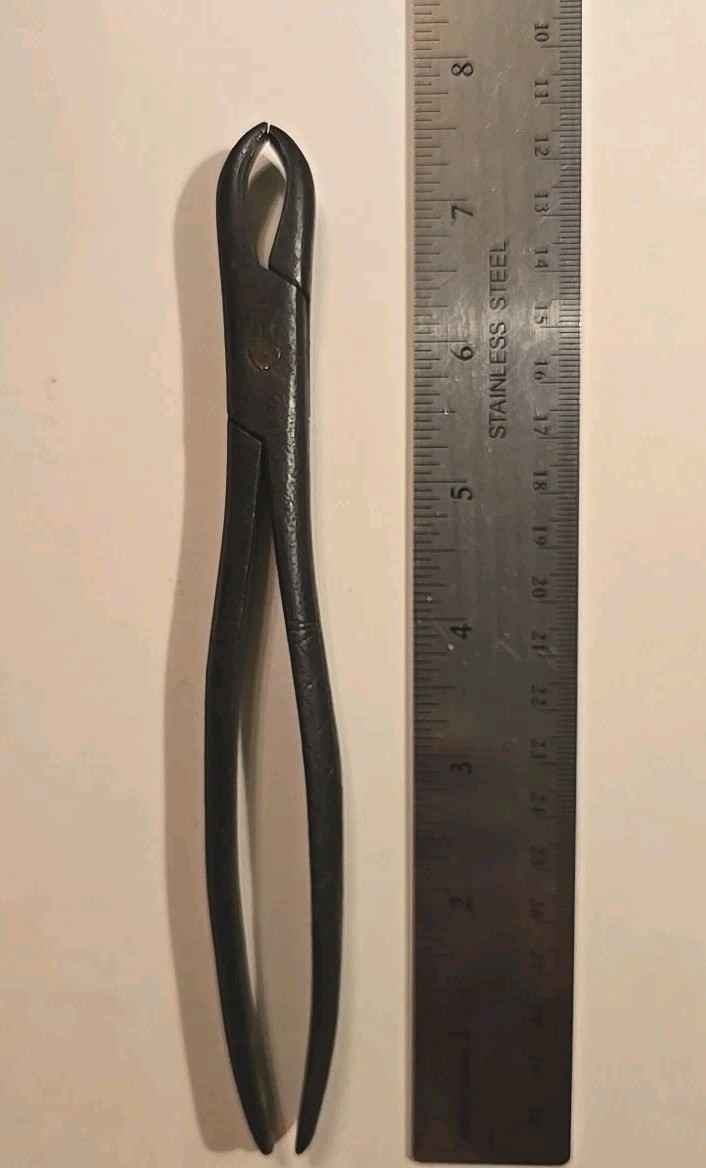 Pre Civil War Primitive Hand Wrought Dental Extraction Pliers, 7.5″ Dentist Tool